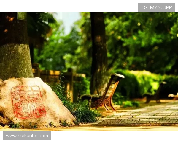 光影流转，心事悄然：那些“小小相望”的温柔时光