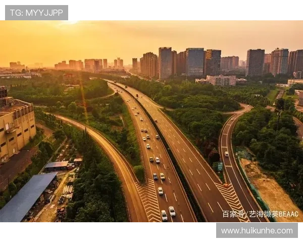 开启新金光大道：你的未来，不止一面