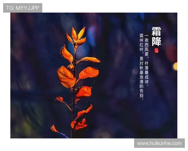 晚秋的结局：一场关于告别与重生的诗意沉思